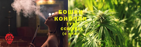 таблы Бородино