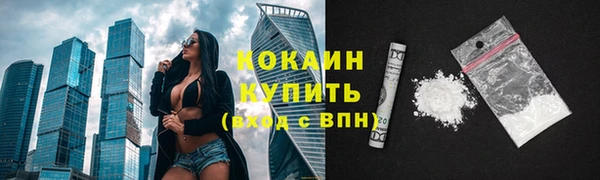 стаф Верея