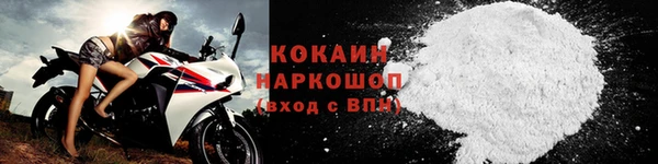 таблы Бородино