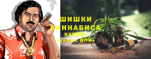 таблы Бородино