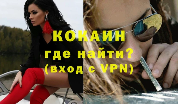 стаф Верея