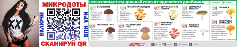Купить Беломорск Псилоцибиновые грибы Cubensis